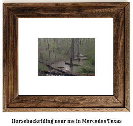 horseback riding near me in Mercedes, Texas